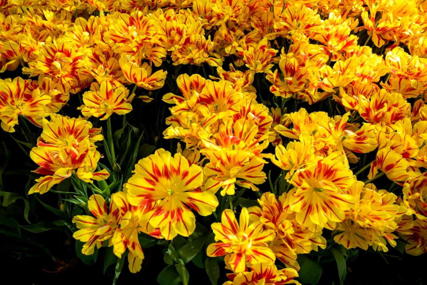 Seraphina Aldrich in her floristry studio, surrounded by seasonal arrangements